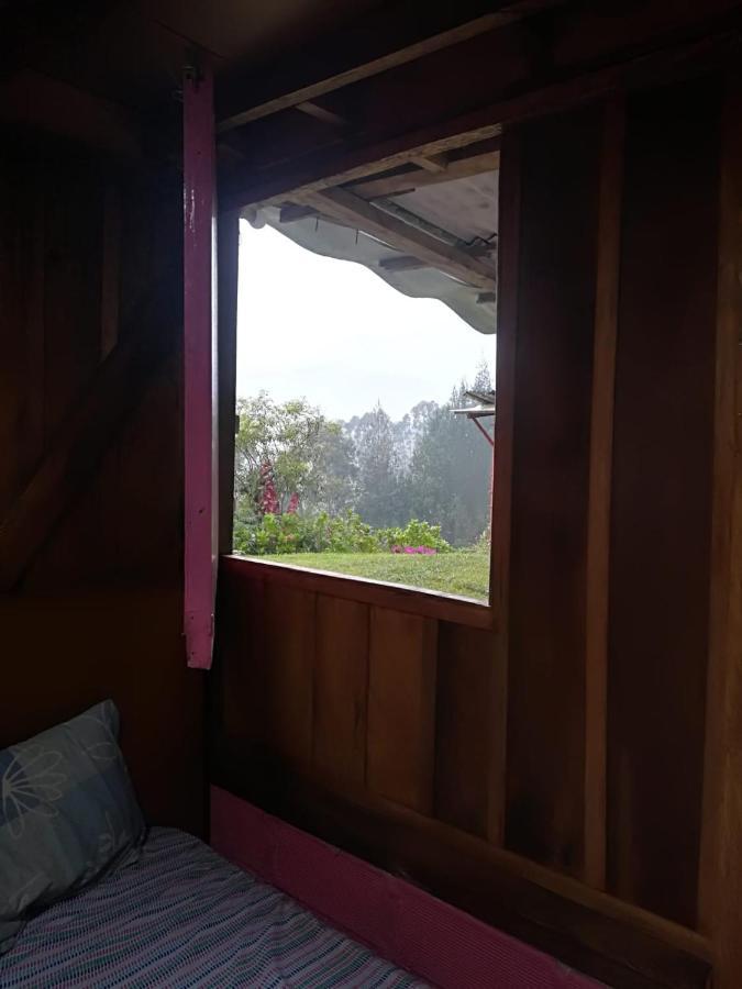 Finca Cafetera El Coral Jardin Bagian luar foto
