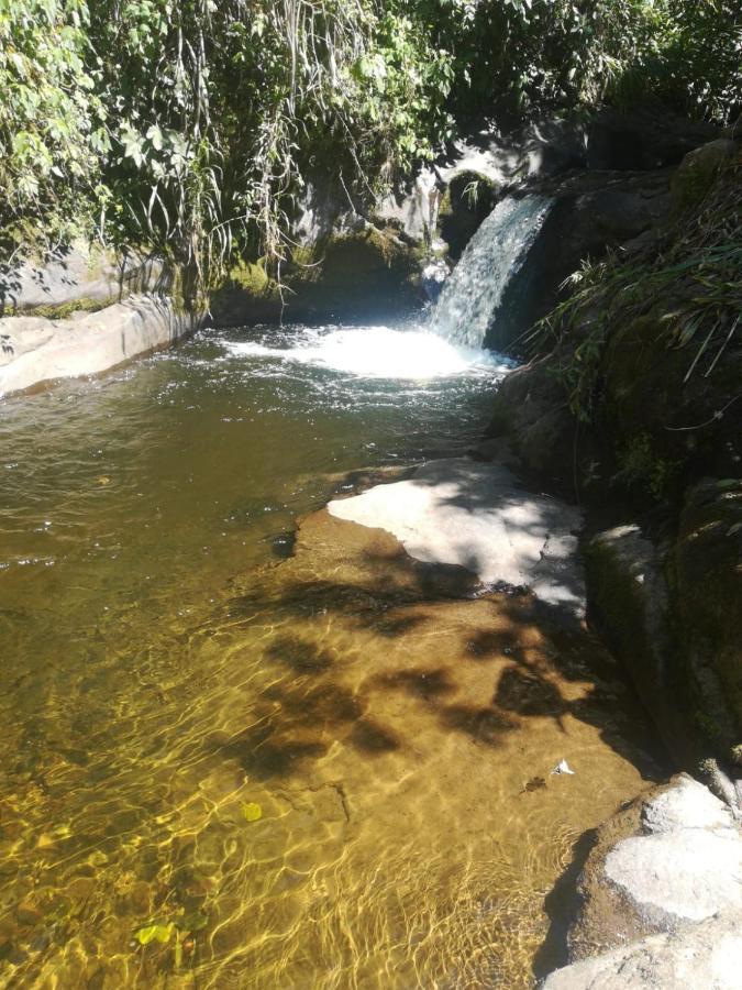 Finca Cafetera El Coral Jardin Bagian luar foto