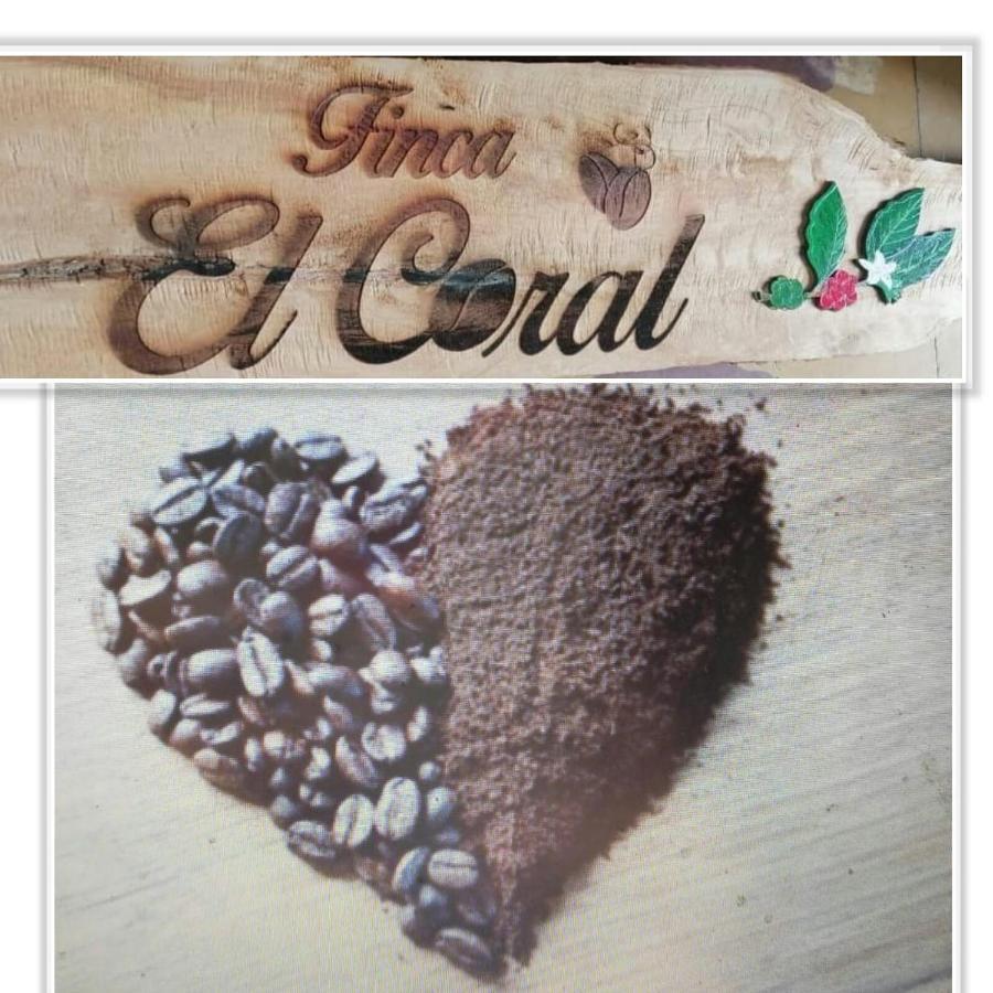 Finca Cafetera El Coral Jardin Bagian luar foto