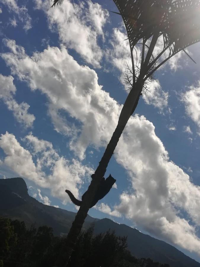 Finca Cafetera El Coral Jardin Bagian luar foto