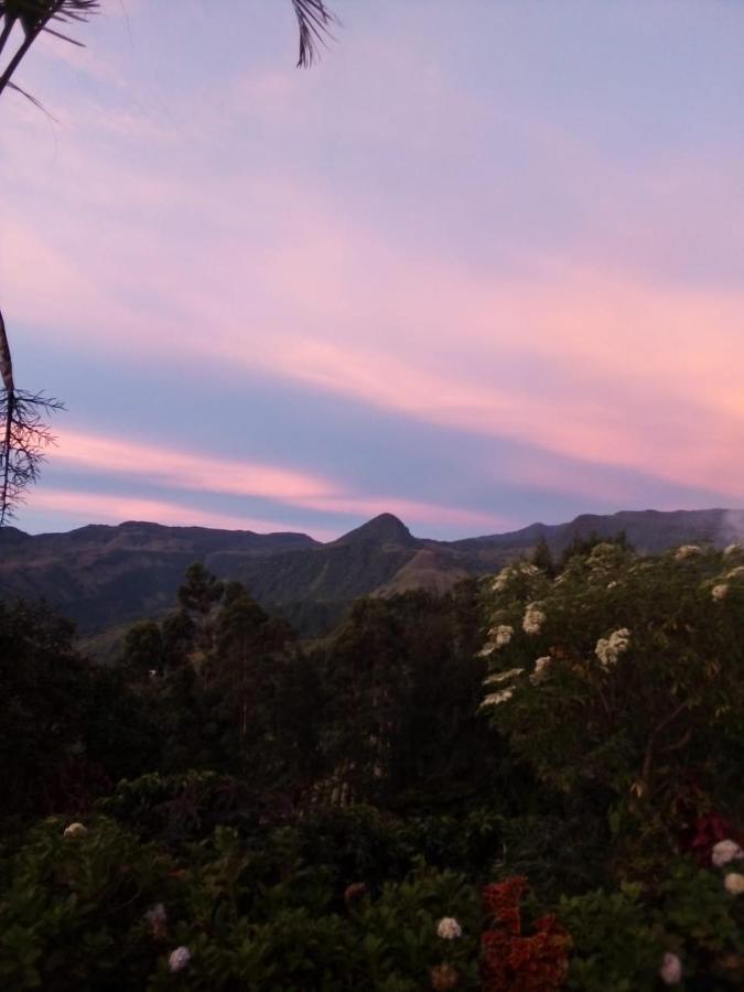 Finca Cafetera El Coral Jardin Bagian luar foto