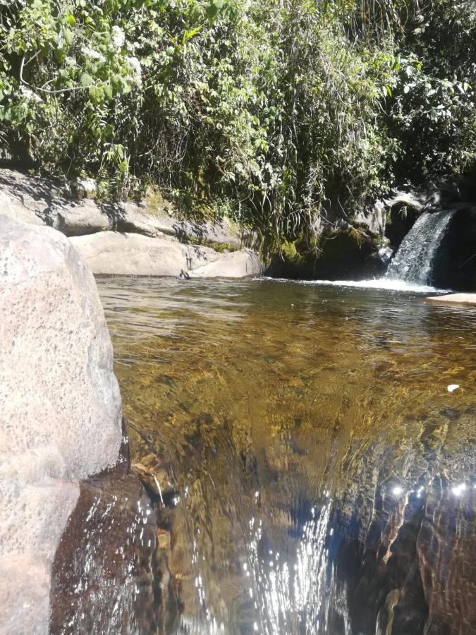 Finca Cafetera El Coral Jardin Bagian luar foto